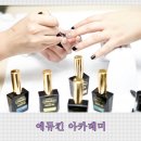 네일와요 Daum카페