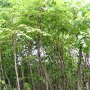 만회농장 이미지