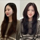 아르더 이미지