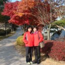 경주중학교 이미지