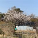 홍동농장 이미지