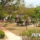 함태초교 이미지