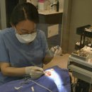 더건강한치과의원 이미지