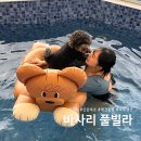 바사리 풀빌라 | 경주 애견동반 숙소 바사리 풀빌라 신상 독채 펜션 추천