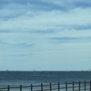 표선면-13 이미지