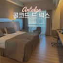 de luxe(디럭스) | 터키 안탈리아 올인클루시브 콩코드 드 럭스 리조트 디럭스 발코니룸 오션뷰 후기