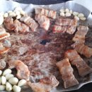 청도오리 이미지