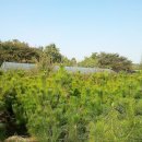 한솔농원 이미지