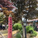 원두볶는 고양이 | [인천아이랑갈만한곳] 도림동 마크로스터스 : 감동 모먼트 가득한 애견동반 로스팅 카페 (인생 라떼 맛집)