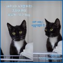 굿모닝24시동물병원 이미지