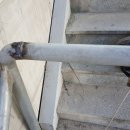 등촌고등학교 이미지