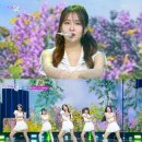 샤이닝뮤직그룹 이미지