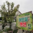 허브힐펜션 이미지