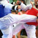 독수리태권도 이미지