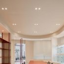 디어마이퍼피 이미지