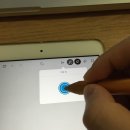 파인구대