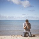 대신중고교 이미지