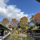 놀러와실내낚시카페 | [경기 시흥] 패밀리낚시카페 놀러와실내낚시터 본점 후기