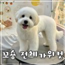 서울미용타운 - 군산시 문화로 67-1 | 서울미용타운