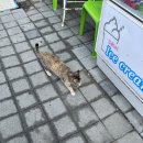 감성커피인제원통점 이미지