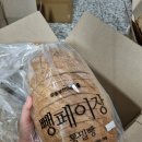 통밀빵 추천, 식사대용으로 좋은 유동부 치아바타 뺑페이장 후기