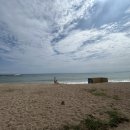 부흥해수욕장 | 영덕 아이랑 부흥해변에서 모래놀이 (feat. 부흥서핑센터 노바서프)