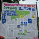 부천 가볼만한곳 장미축제 백만송이장미원 아이랑 방문 후기