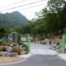 물내치기 이미지