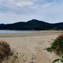 조도초등학교대마분교장 이미지