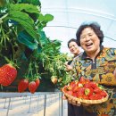 이기석농장 이미지