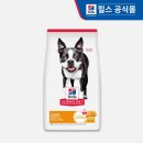 우리강아지 | 힐스 강아지사료 어덜트 라이트 스몰바이트, 다이어트 시작한 우리 강아지 변화 후기