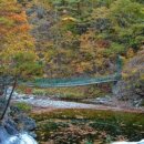 구수곡자연휴양림 야영장 이미지