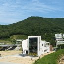 펫로스 케어 이미지