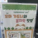 원예가드닝 | 역삼 푸른솔 도서관 그림책 원예 테라피 후기, 봄 가드닝 수업 다녀왔어요