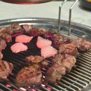 배고픈형제들 - 강남구 광평로51길 8 | 인천 루원시티 맛집 고기집 추천 연탄불 직화로 구워주는 흑돼지 형제들 대만족 후기