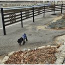 느린 오후가 있는 집 | 대구민박 느린오후가있는집에서 만난 진짜 시골의 감성