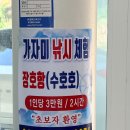 2000킹당구장 | 삼척풀빌라추천 미갈루 독채 풀빌라펜션, 삼척웨딩스냅 장소 추천, 바베큐 애견동반 프라이빗수영장
