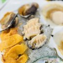 안면도회센타 이미지