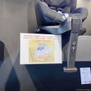 아이소프트 | [신생아 카시트] 브라이텍스 듀얼픽스 프로 LUX(럭스) 아이사이즈 소프트토프 후기