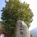 NR-3[평화로]-상-974 | (산행) 동두천 소요산 - 가을의 끝자락.(2017년11월 4일)