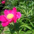 의성조문국사적지 이미지