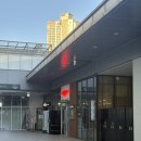 송트리 퓨전 한식주점 심도 송도트리플점 내돈내산 방문 후기