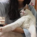 베네치아IN목포점 | 🫂정원이의 2022 연말결산: 필요했던 시간들