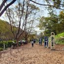 각화제(각화저수지) 이미지