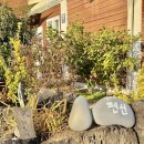 올레브릿지하우스 이미지