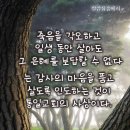 매봉경로당 이미지