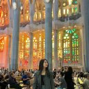 파밀리아 | 바르셀로나 사그라다 파밀리아 성당 입장, 내부 후기