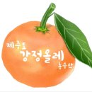 다비치안경 신서귀포이마트 옆점 | 제주도안경집은 다비치안경 신서귀포 이마트옆점