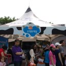 양천목장 이미지