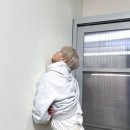 모아내가 이미지